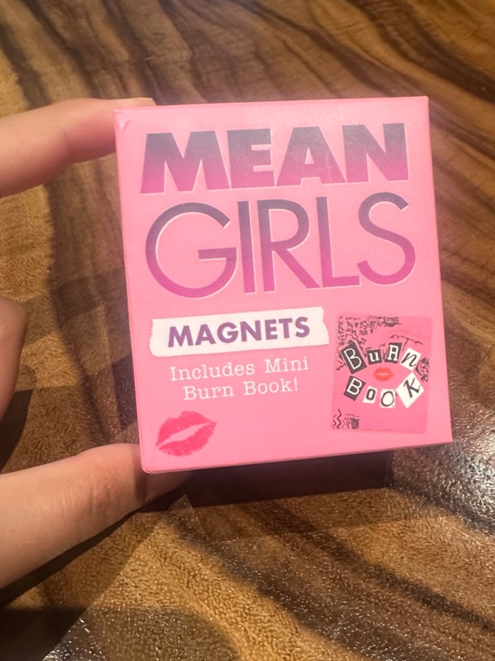 Mean Girls Magnets - Includes Mini Burn Book